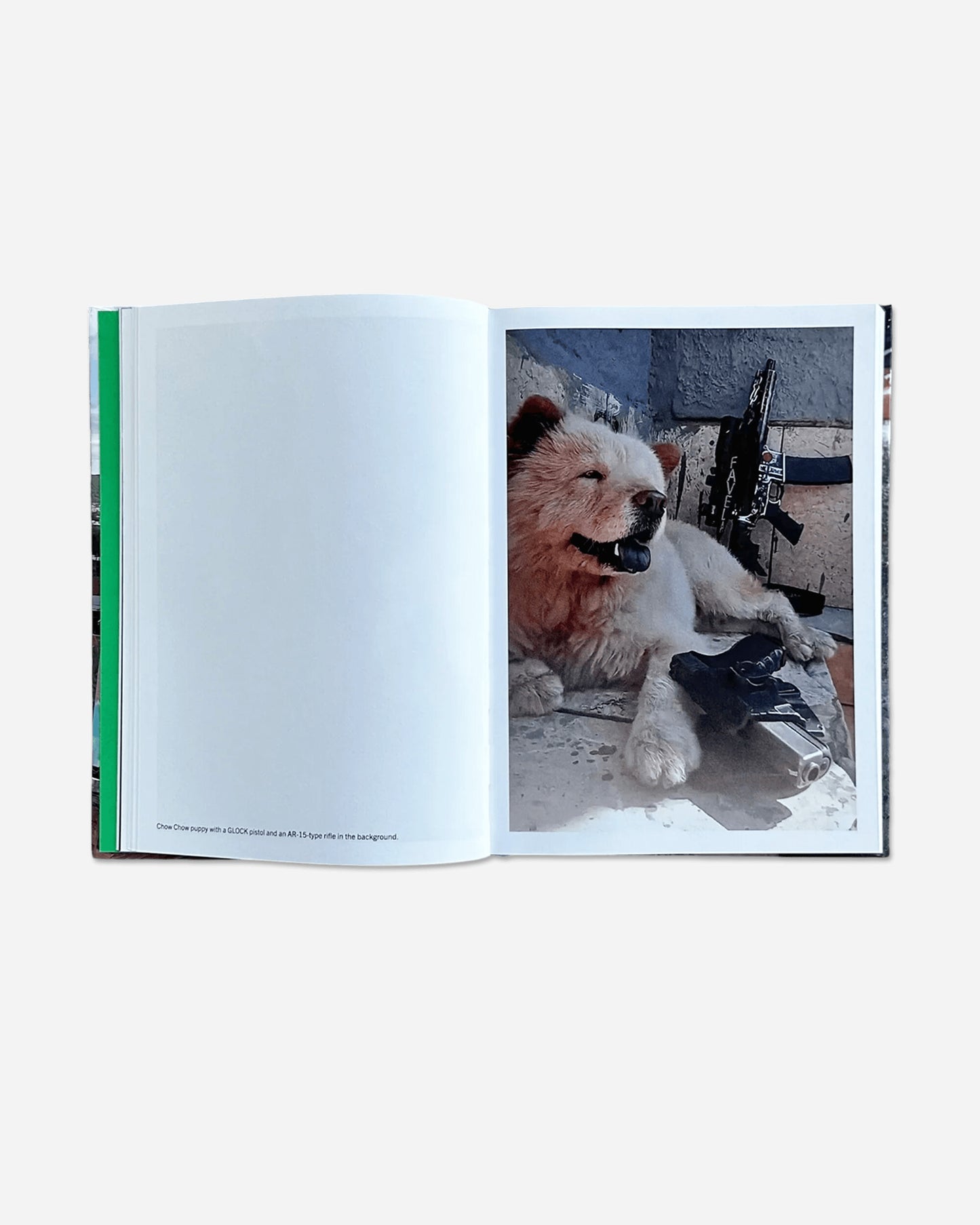 550BC Favela Narco Pets Multicolor Books and Magazines Books FAVELA NARCO PETS MULTI