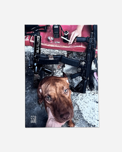 550BC Favela Narco Pets Multicolor Books and Magazines Books FAVELA NARCO PETS MULTI
