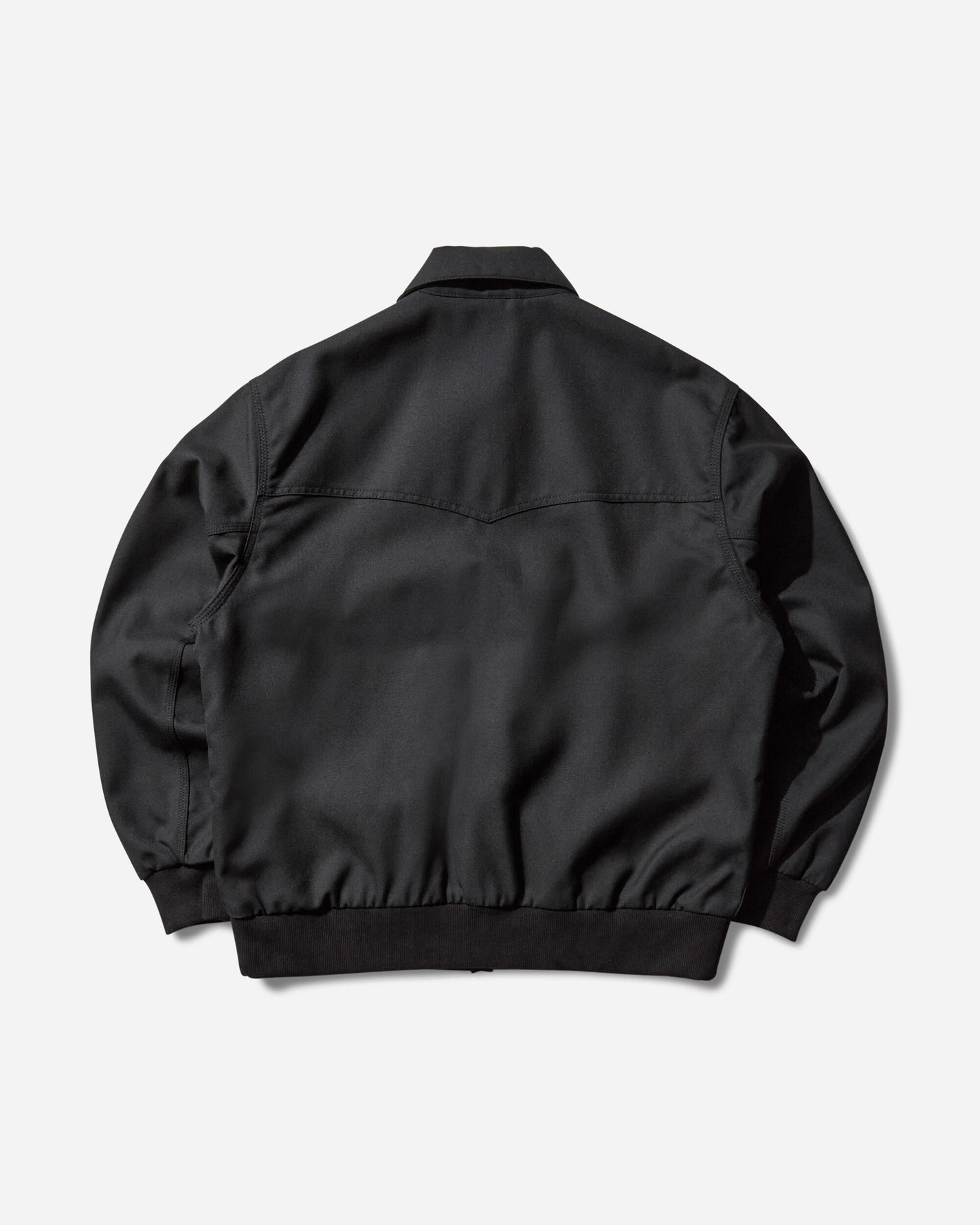 Carhartt WIP Ray Jacket Black Coats and Jackets Jackets I035622 8901