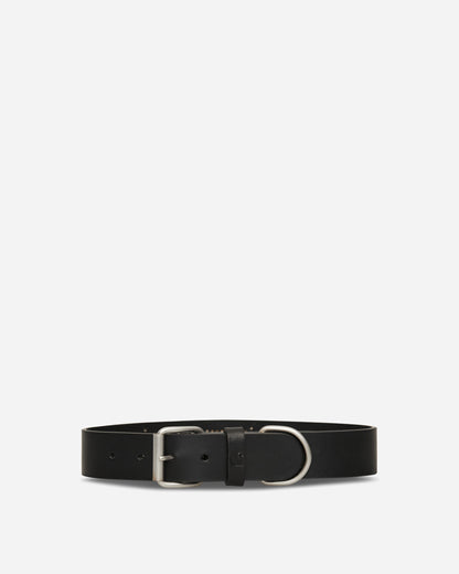 Carhartt WIP Script Studs Dog Collar Black Home Decor Stickers I037387 4BHXX