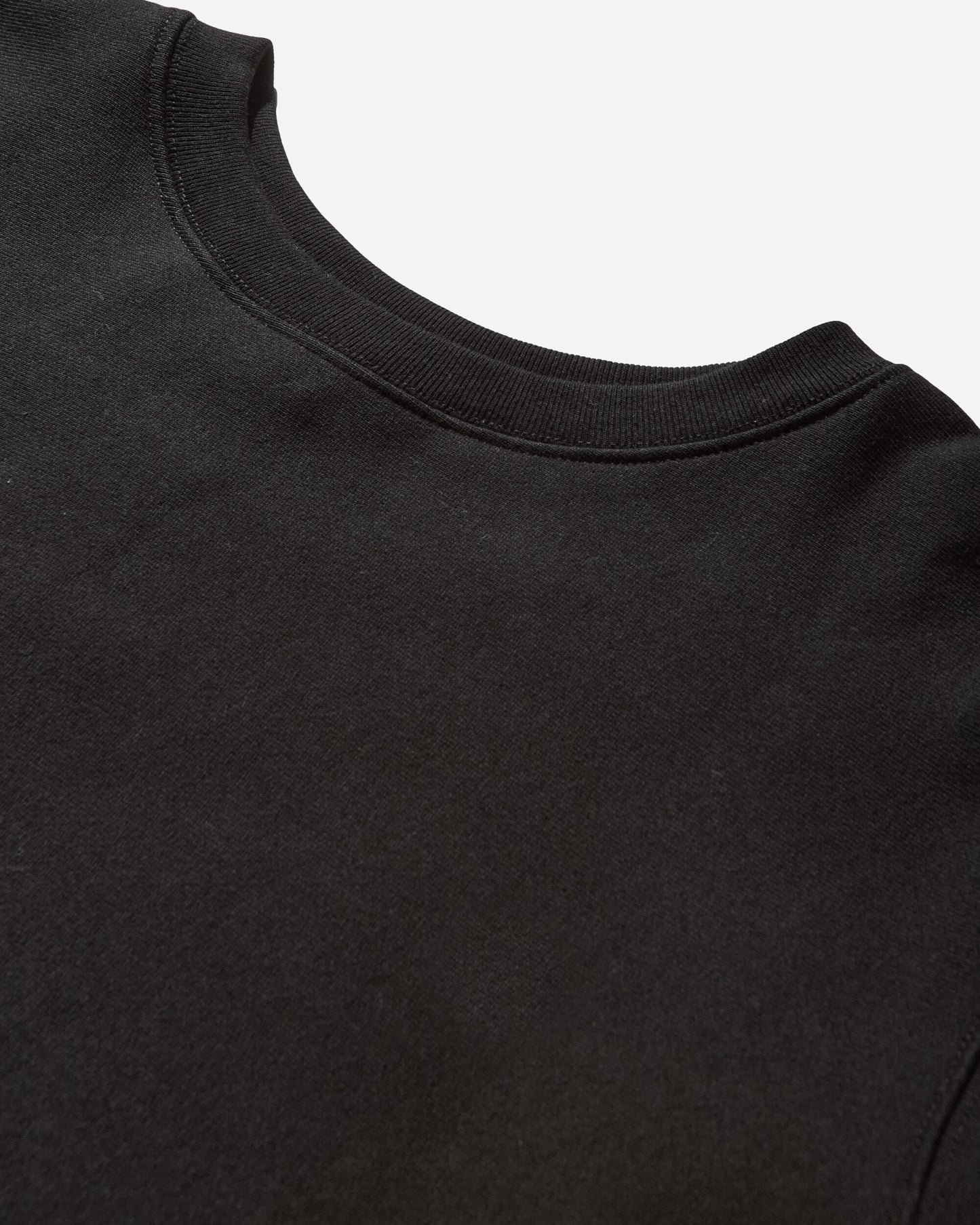 Champion Crewneck Sweatshirt Black Sweatshirts Crewneck 221578 X090