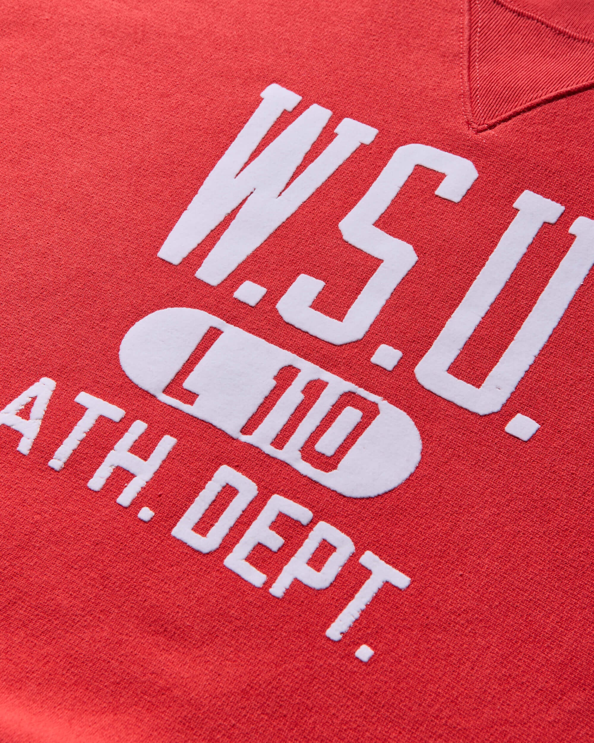 Champion Crewneck Sweatshirt Red Sweatshirts Crewneck 221859 RS036