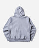 Champion Hooded Sweatshirt Grey Sweatshirts Hoodies 221580 X070