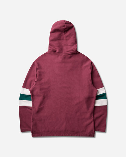 Champion Hooded Sweatshirt Nbg/Egt/Bng Sweatshirts Hoodies 222538 RS520
