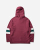Champion Hooded Sweatshirt Nbg/Egt/Bng Sweatshirts Hoodies 222538 RS520