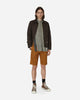 Dickies Slim Fit Short Rec Brown Duck Shorts Short DK0A4XNF BD01