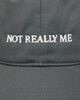Idea Book Not Really Me Hat Charcoal Hats Caps IBNOTMEHAT 1