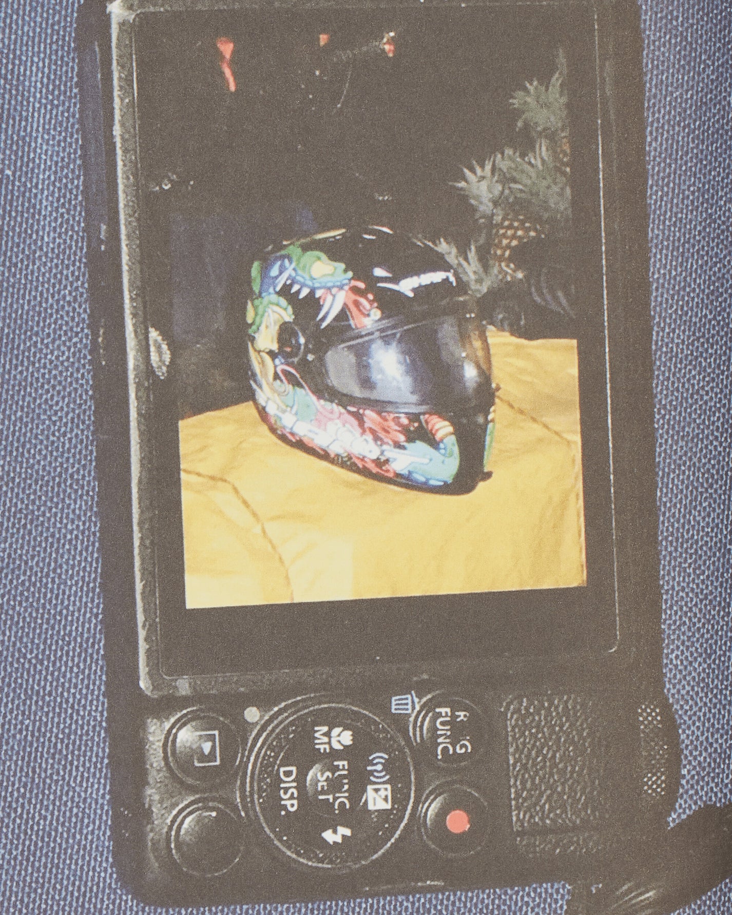 Innen Publishing Peter Sutherland: Welcome Stranger Multicolor Books and Magazines Books IPPETWELCOME 001