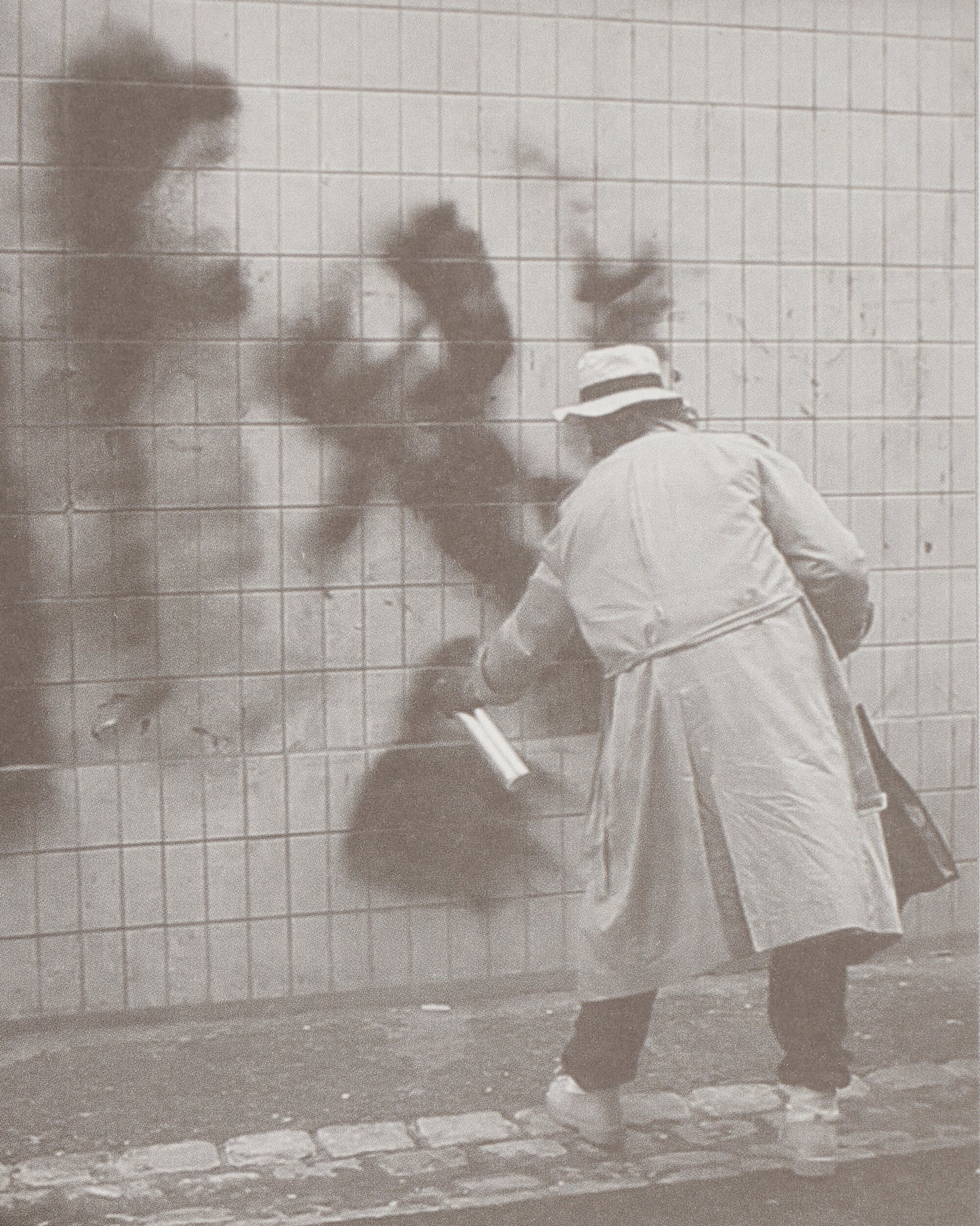 Innen Publishing Saeio: Bintou Courte Multicolor Books and Magazines Books IPSEAEBINT 001