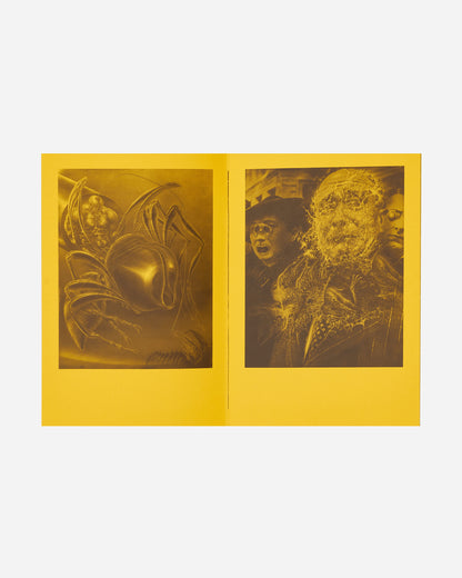 Innen Publishing Sybille Ruppert - Autodévoration Multicolor Books and Magazines Books IPSYBILLE 001