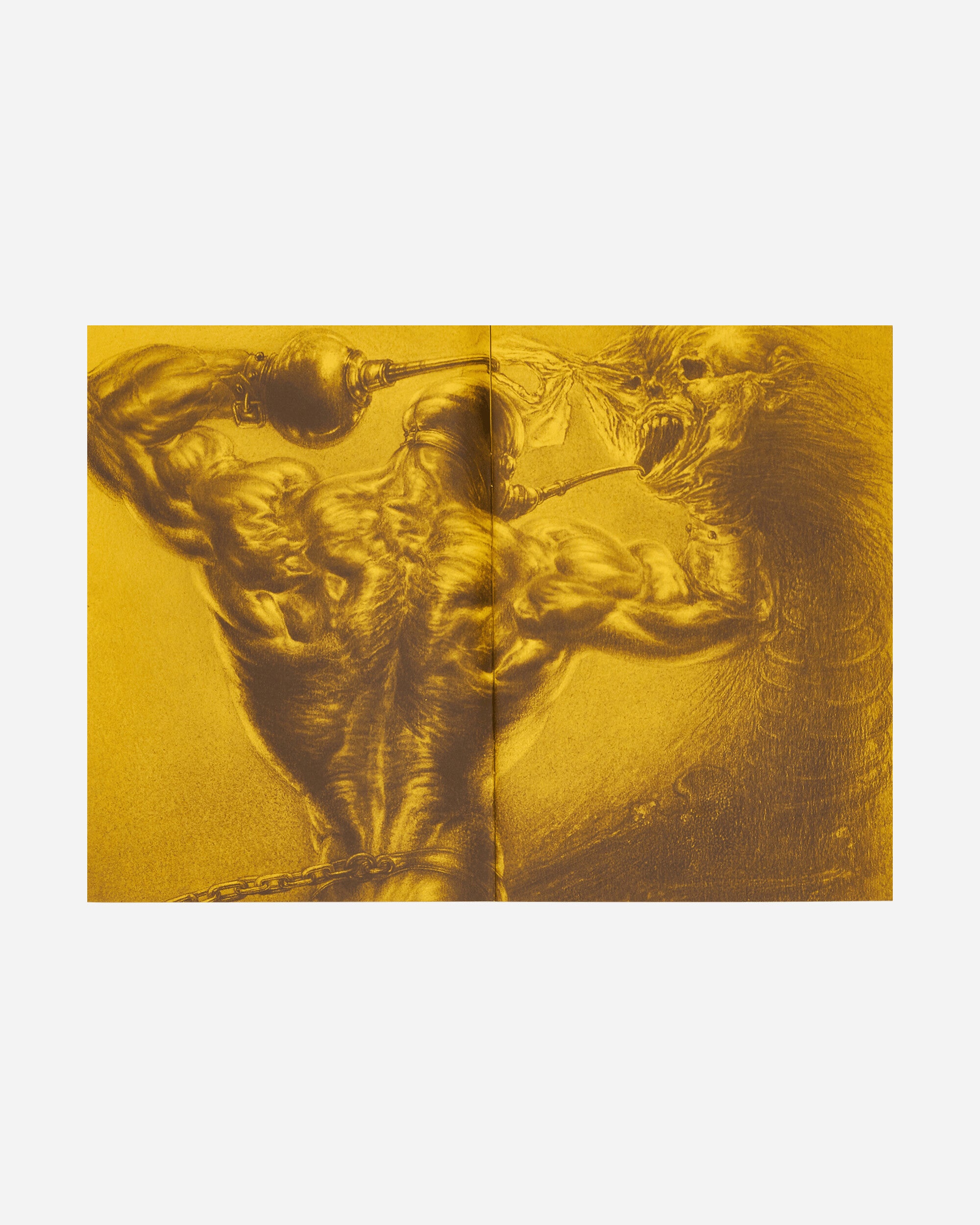 Innen Publishing Sybille Ruppert - Autodévoration Multicolor Books and Magazines Books IPSYBILLE 001