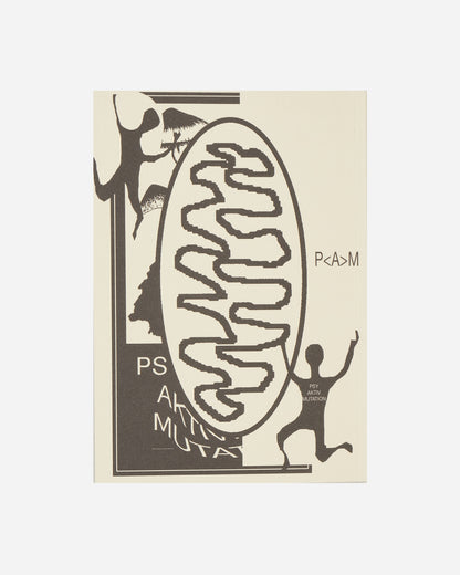 Innen Publishing Zug Magazine N°13 Multicolor Books and Magazines Books IPZUGMAG 001