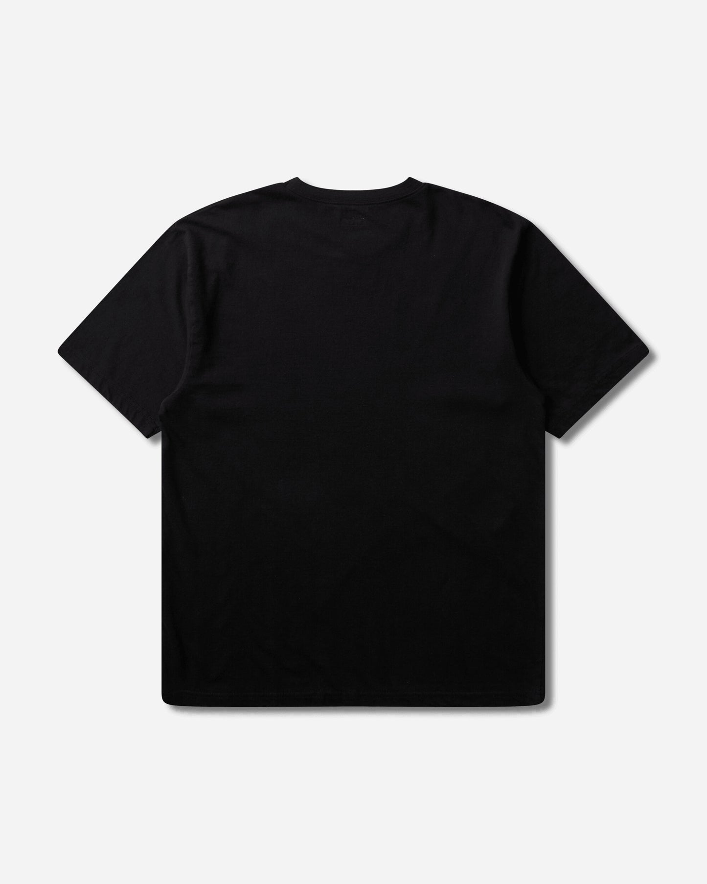 KAPITAL 20/-Jersey Crew T (One Trout Peckish Rainbowy) Black T-Shirts Shortsleeve K2508SC002 BLACK