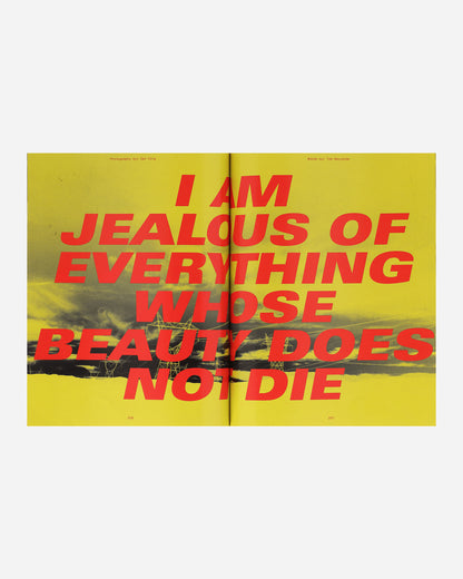 Mental Athletic Mental Athletic Issue N4/ Cover 1 Bandit Multicolor Books and Magazines Magazines MAISSUE4   001