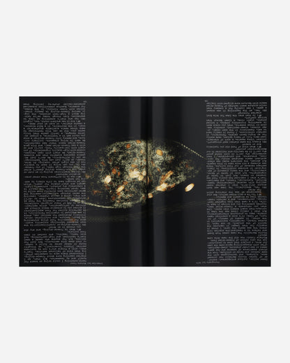 Mental Athletic Mental Athletic Issue N4/ Cover 4 Homerun Multicolor Books and Magazines Magazines MAISSUE4   004