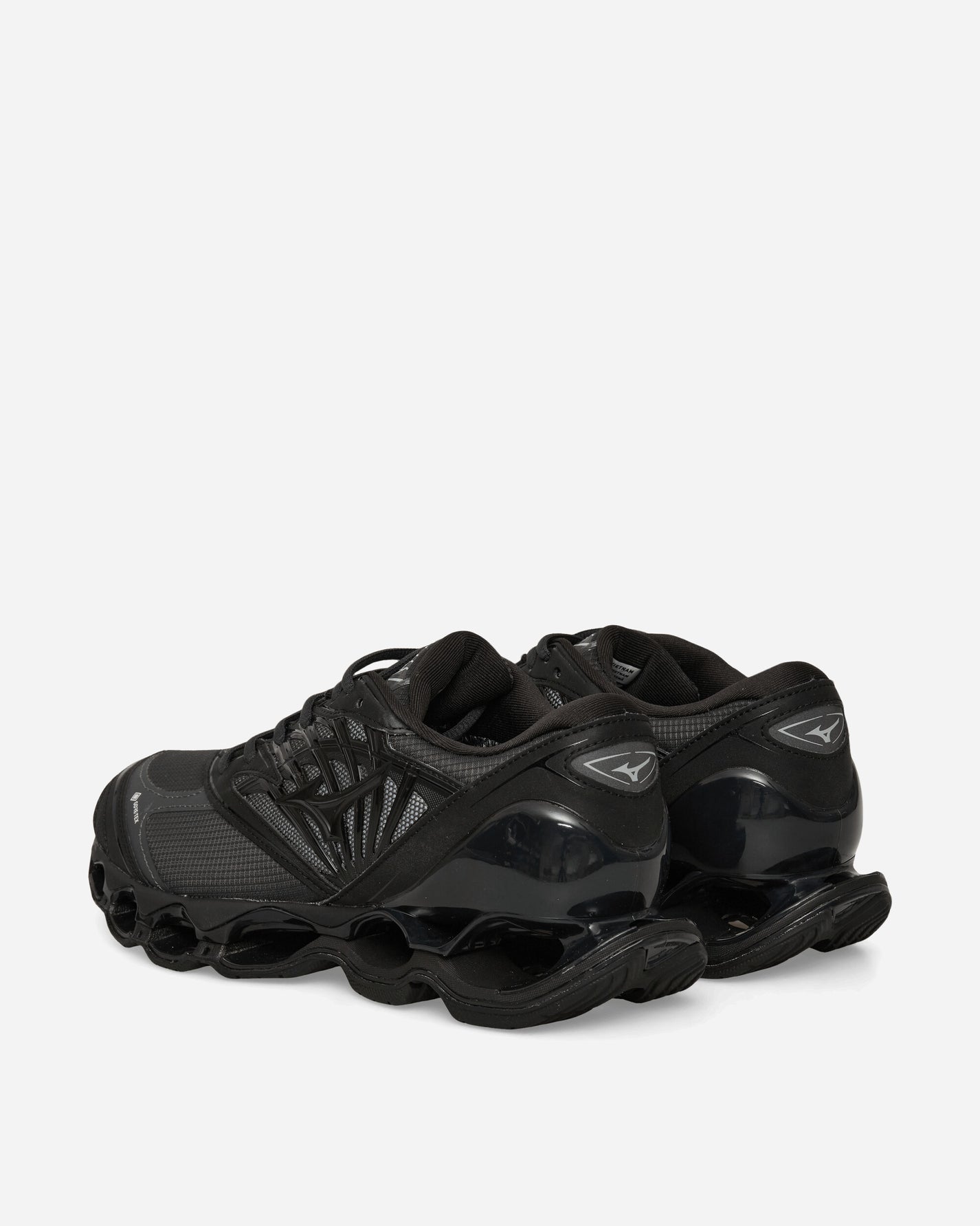 Mizuno Shoe S.L.Wave Prophecy Ls Gtx BlackSand/Black Sneakers Low D1GA2560-01