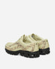 New Balance U18907P8 Morel/Black Sneakers Low U18907P8