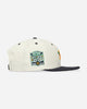 New Era Mascot Pin 26993 Houast Otcchw Houston Astros Multicolor  Hats Caps 60758457 MULTI
