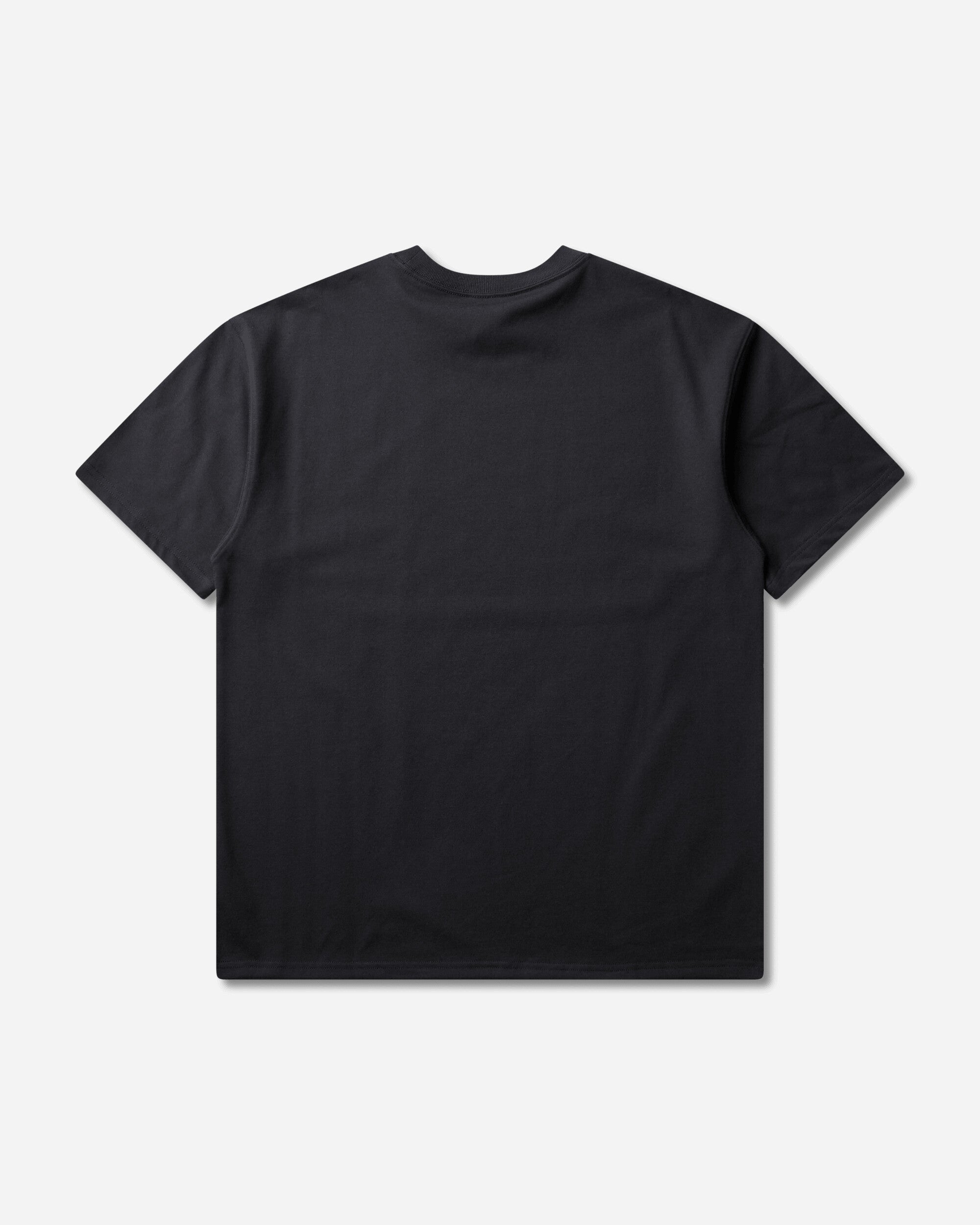 Nike M Acg Df Tee Lse Mystery Snail Black T-Shirts Shortsleeve IM6179-010