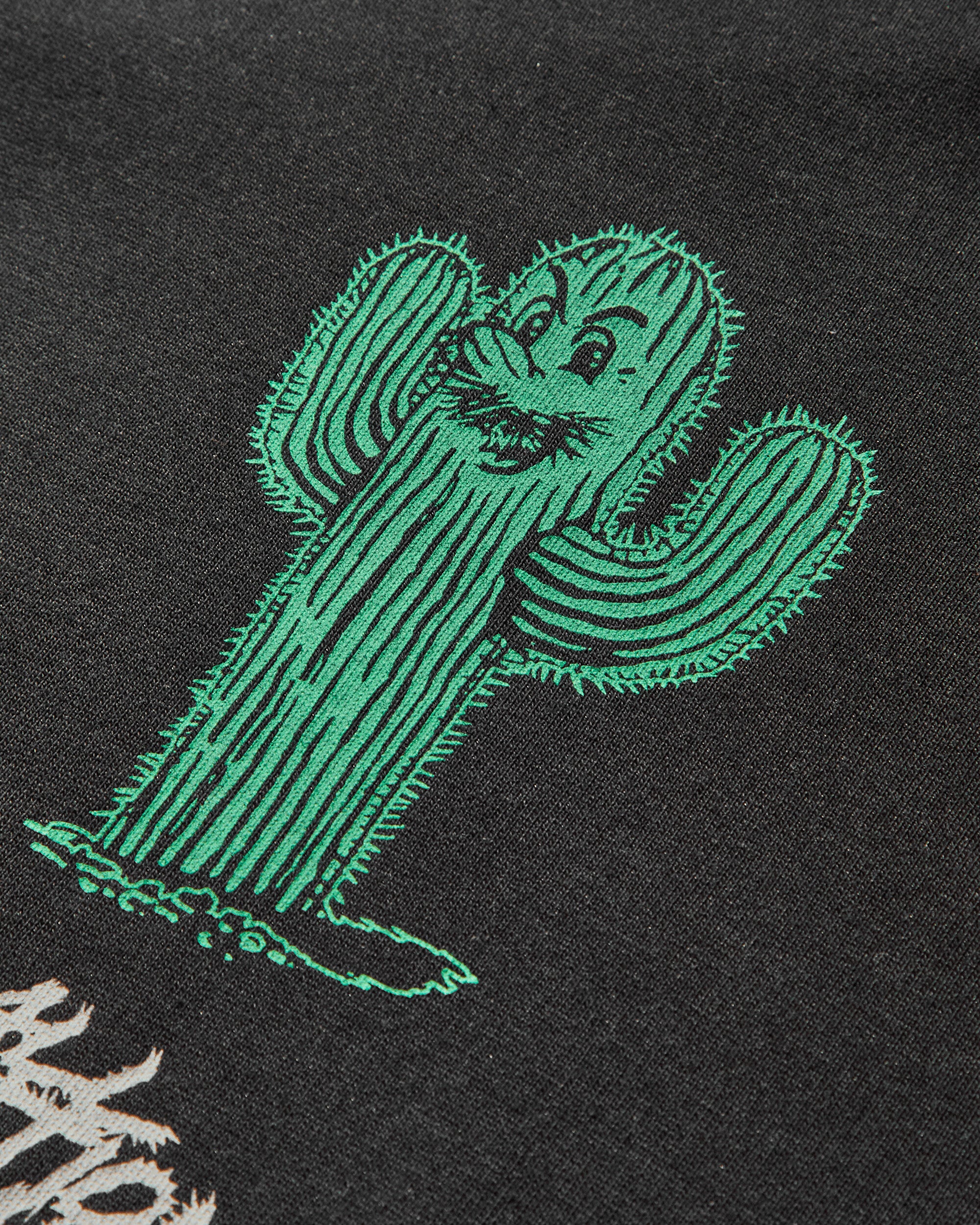 Nike M Acg Tee Oc Cactus Black T-Shirts Shortsleeve HV1292-010