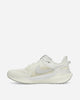 Nike Air Zoom Pegasus 41 Sp Ivory/Vast Grey Sneakers Low HQ6025-100