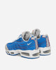 Nike Nike Air Max 95 Blue/Metallic Silver/White Sneakers Low IR1944-400