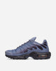 Nike Nike Air Max Plus World Indigo/Cave Purple Sneakers Low DM0032-404