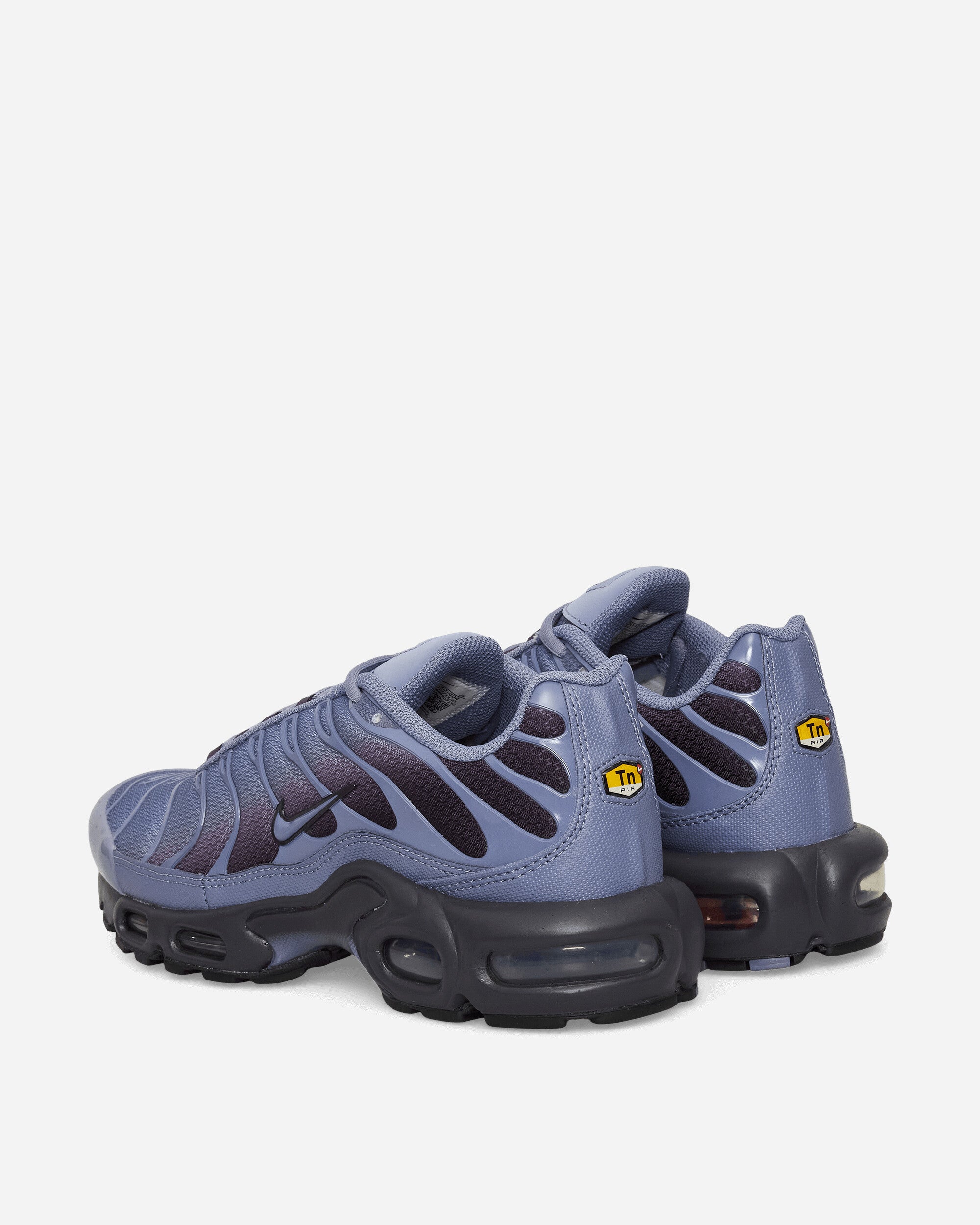 Nike Nike Air Max Plus World Indigo/Cave Purple Sneakers Low DM0032-404