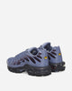 Nike Nike Air Max Plus World Indigo/Cave Purple Sneakers Low DM0032-404
