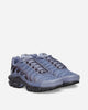 Nike Nike Air Max Plus World Indigo/Cave Purple Sneakers Low DM0032-404