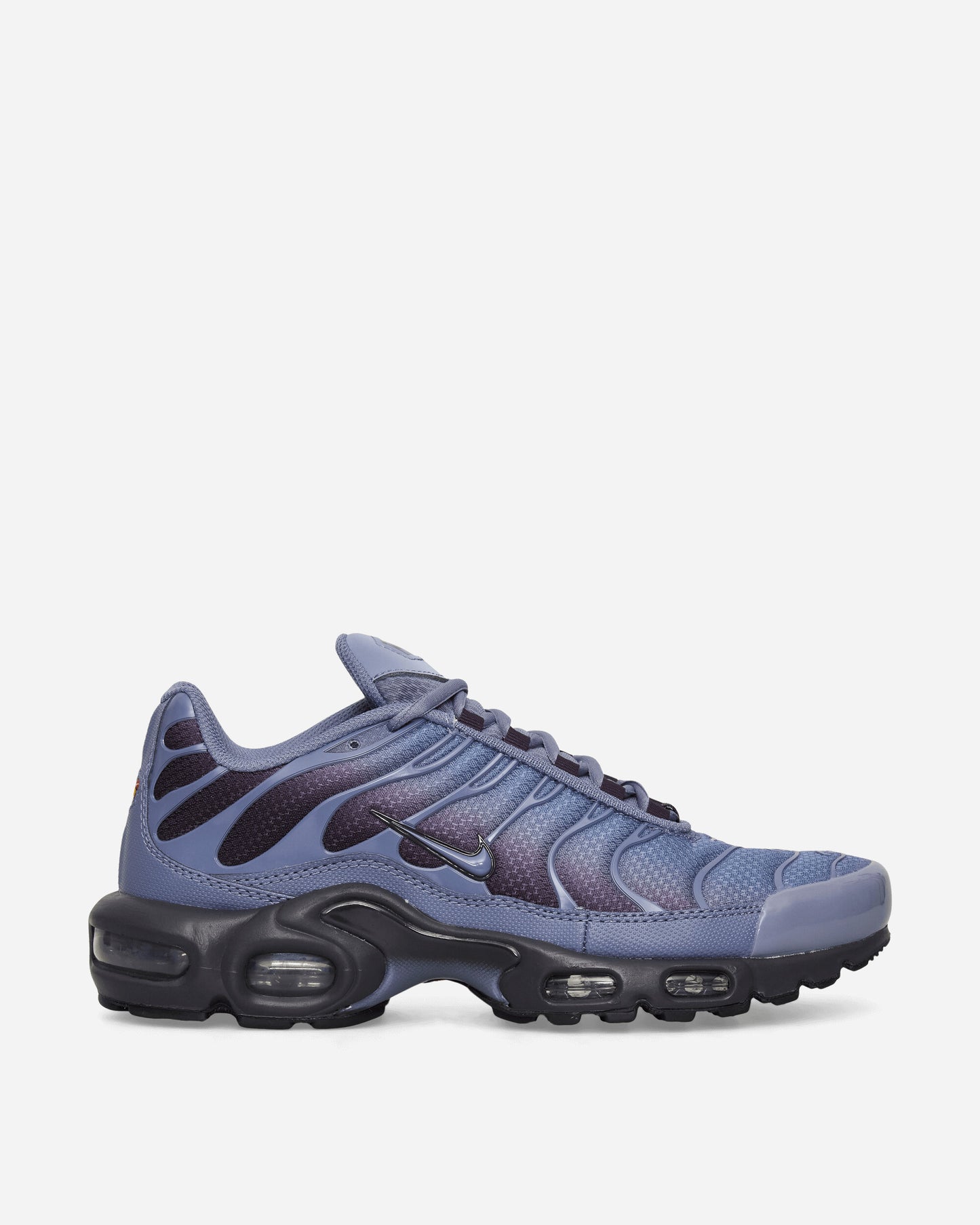 Nike Nike Air Max Plus World Indigo/Cave Purple Sneakers Low DM0032-404