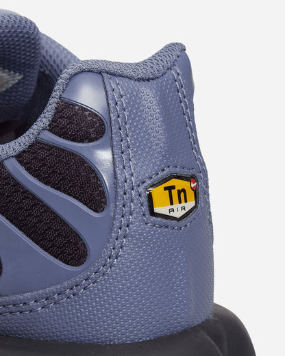 Nike Nike Air Max Plus World Indigo/Cave Purple Sneakers Low DM0032-404