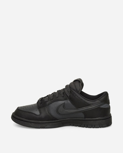 Nike Nike Dunk Low Gtx Black/Off Noir-Anthracite Sneakers Low HQ2053-001