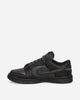 Nike Nike Dunk Low Gtx Black/Off Noir-Anthracite Sneakers Low HQ2053-001