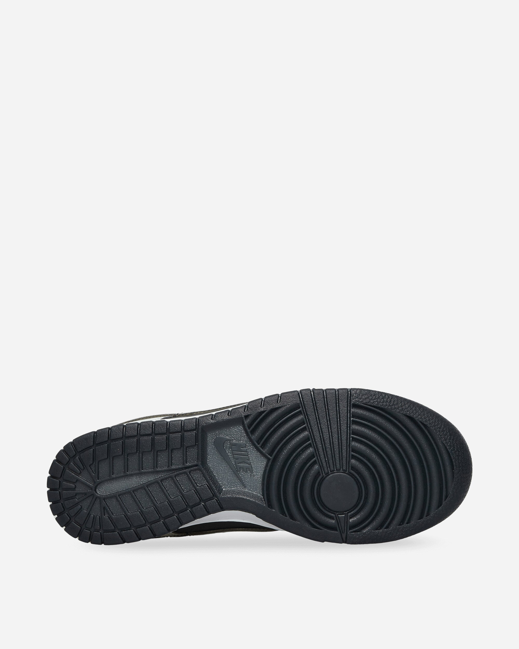 Nike Nike Dunk Low Retro Prm Dk Smoke Grey/Barely Green Sneakers Low FZ1670-001