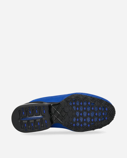 Nike Wmns Nike Air Max Dolce Old Royal/Black/Old Royal Sneakers Low IB4527-400
