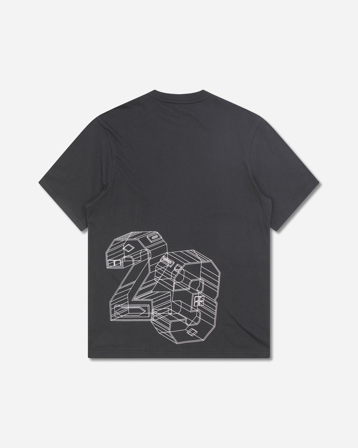 Nike Jordan Jordan Sport Black/Pure Platinum T-Shirts Shortsleeve IM7816-013