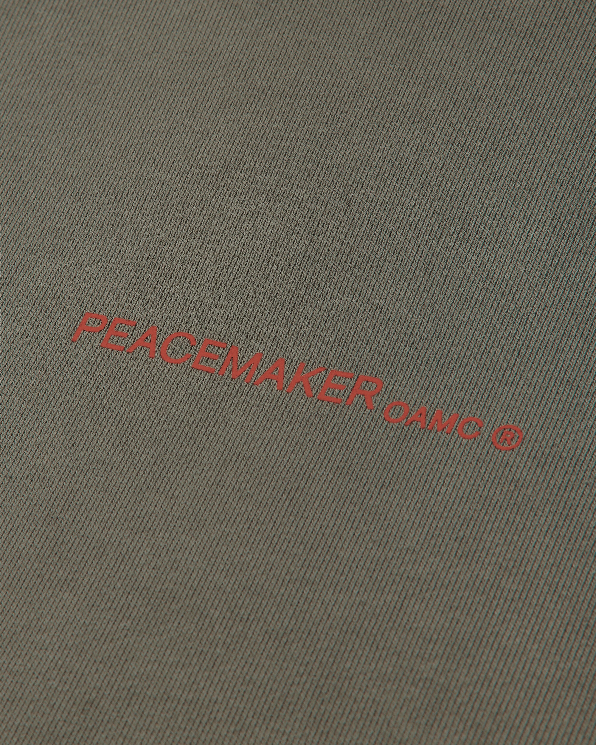 OAMC Peacemaker Loose Fit Hoodie Pigeon Print Gray Sweatshirts Hoodies PCM2OH01AFT00295 95