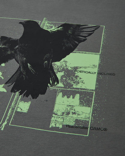 OAMC Peacemaker Regular Tee  Birds Print Gray T-Shirts Top PCM3OT01BJE001095 GRAY