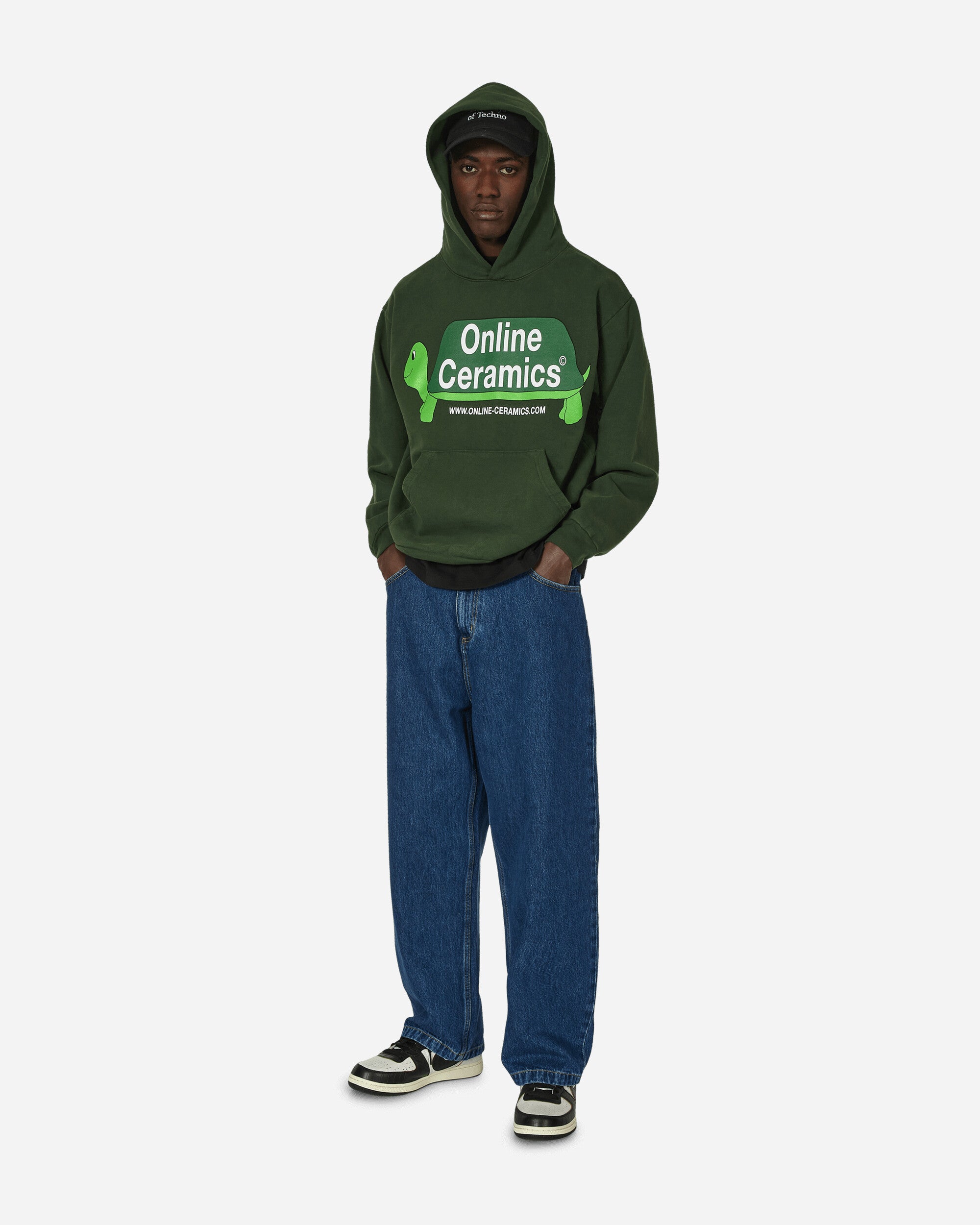 Long Turtle Logo Hoodie Ivy