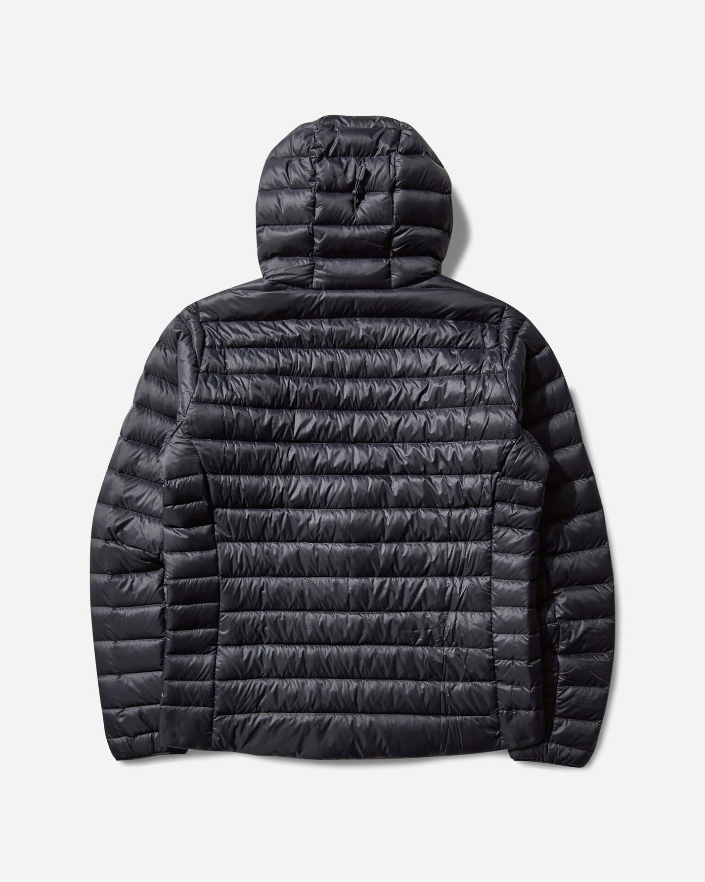 Patagonia Ms Down Sweater Hoody Black Sweatshirts Hoodies 84702 BLK