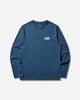 Patagonia M'S L/S Cap Cool Daily Shirt - '73 Skyline Clement Blue T-Shirts Longsleeve 45454 CMBX