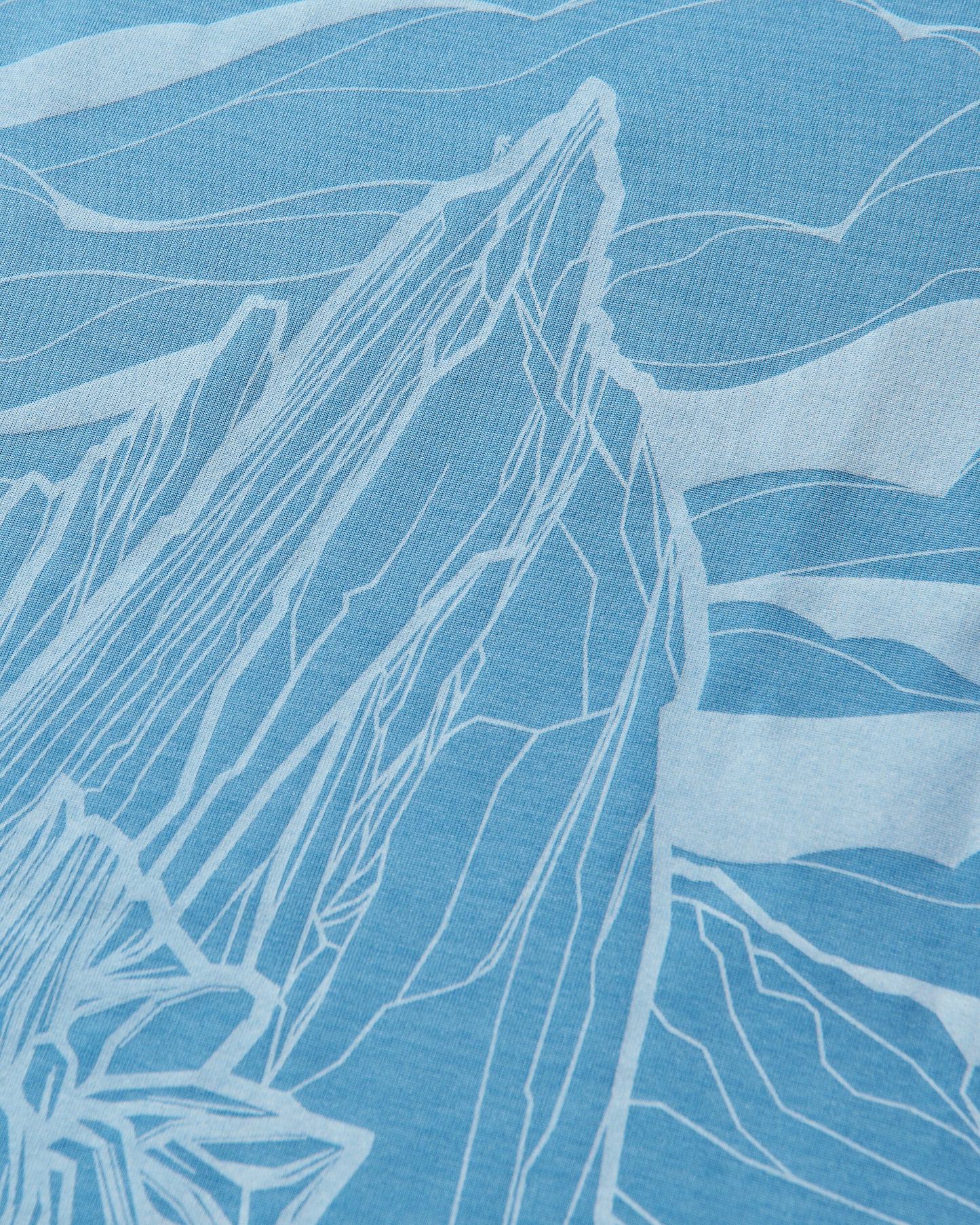 Patagonia M'S Cap Cool Daily Shirt - Cloud Crag Shore Blue T-Shirts Shortsleeve 45477 SHRX