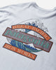 Patagonia M'S L/S Great Waves Responsibili-Tee White T-Shirts Shortsleeve 37876 WHI