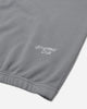 Phantasy Club Phantasy Logo Hoodie Storm Front Grey Sweatshirts Hoodies WBMW001FA01 GRY0070