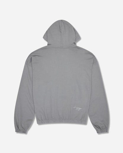 Phantasy Club Phantasy Logo Hoodie Storm Front Grey Sweatshirts Hoodies WBMW001FA01 GRY0070