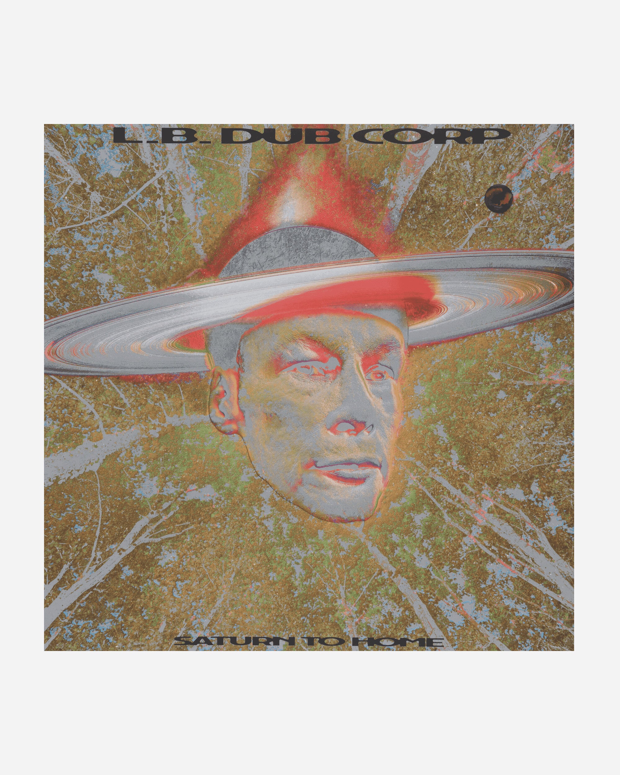 Public Possession L.B. Dub Corp - Saturn To Home Multicolor Music Vinyls DKMNTL101 1