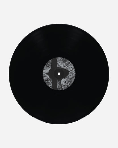 Public Possession L.B. Dub Corp - Saturn To Home Multicolor Music Vinyls DKMNTL101 1