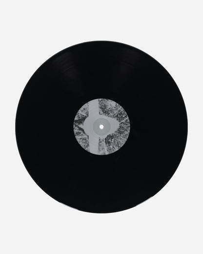 Public Possession L.B. Dub Corp - Saturn To Home Multicolor Music Vinyls DKMNTL101 1