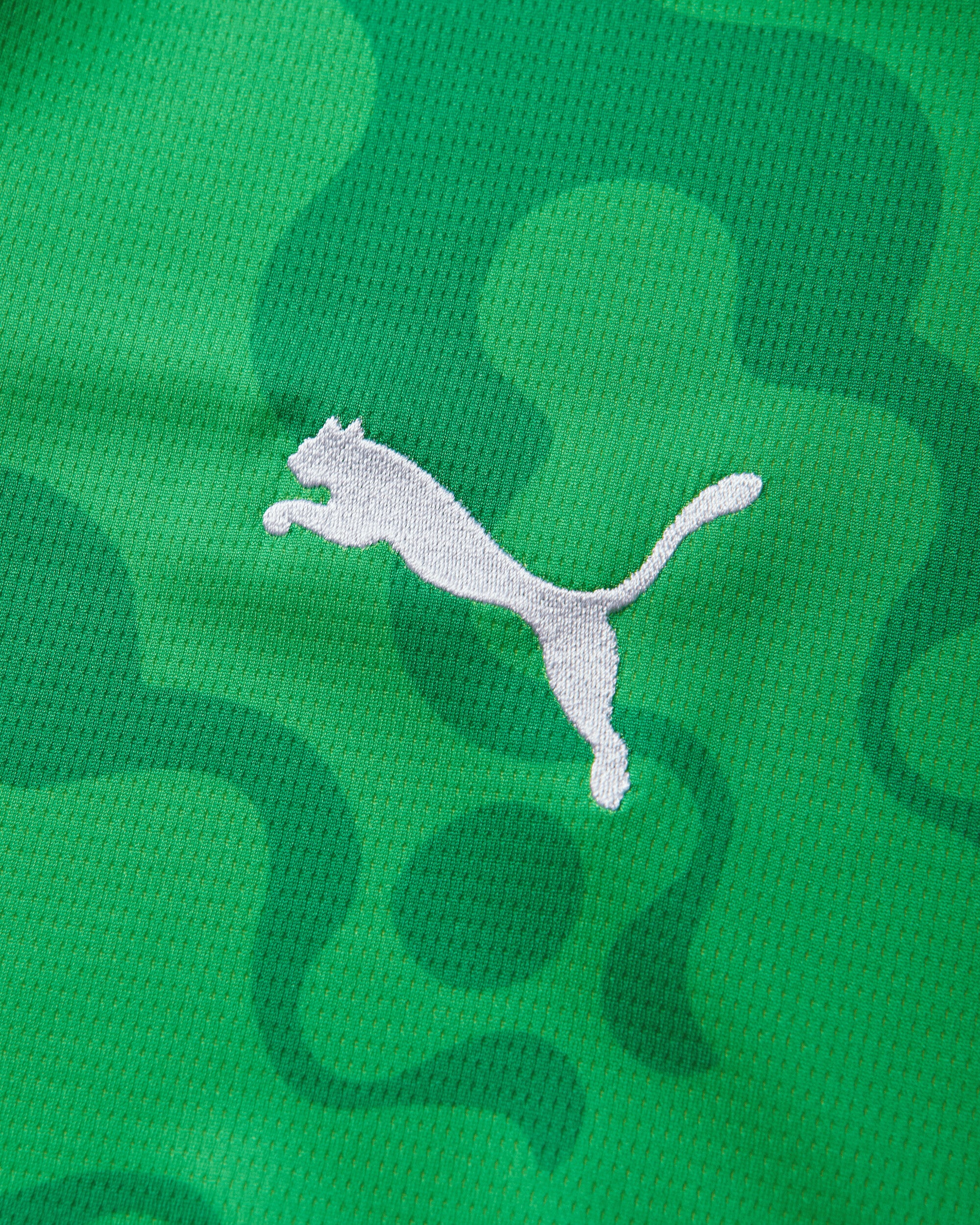 Puma Puma X Efa X Salehe Bembury Replica Match Jersey Sb Gk Green/Fast Green Shorts Short 787112-80